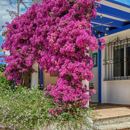 Benson By Interhome Villa Marbella